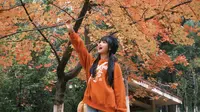 10月10日实拍！昆明黑龙潭枫叶拍摄攻略来喽~目前还未全红，预计11月中旬迎来红枫最佳观赏期
