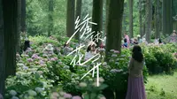 尼康ZR | 绣球花开，慢行风景里