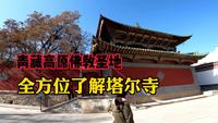 带你走进佛教圣地塔尔寺，跟着讲解员了解这座600多年历史寺院