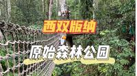 西双版纳 | 原始森林公园最全游玩攻略