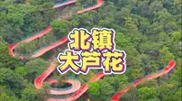 不要门票的大芦花还不快来？体验来自新西兰的天际飞车#夏日尖叫大芦花天际飞车奇遇节 #天际飞车 #大芦花风景区 #玻璃栈道玻璃桥 #替我自由时别忘了喊我看