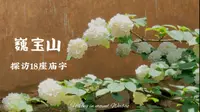 巍宝山·一步一庙，探访十八座庙宇｜云南大理巍山徒步一日游｜4K