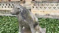 云南石屏县郑营村的陈氏宗祠，云南周周带你了解汉族的宗祠文化