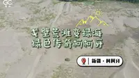 戈壁荒滩变绿海 绿色传奇柯柯牙