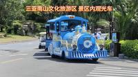 【其他POV】三亚南山文化旅游区 景区内观光车〔南山寺→光明广场观光车发车站〕左侧全程前方展望