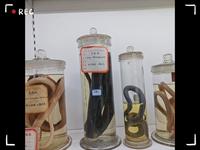 成都中医药大学博物馆
