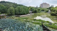 南宁狮山公园