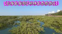 【北海金海湾红树林生态旅游区】