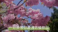一分钟带你游潍坊植物园—— 春日尚好，有你更好