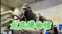大庆博物馆，偶然发现的令人惊艳的宝藏博物馆，没有哪个博物馆有如此多的动物骨架化石