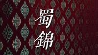 00后勇闯非遗江湖之蜀锦篇！！！ 织机上的交响！一经一纬编出会流动的史诗！