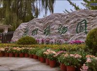 兰州市植物园