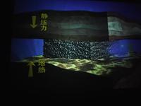 中国煤炭博物馆的煤炭形成视频花了110块钱拍的