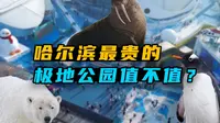 哈尔滨最贵的极地公园值不值？哈尔滨极地公园测评！