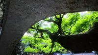 春天的虎跑公园就是一万次的春和景明❗️