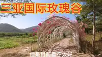 三亚亚龙湾国际玫瑰谷，世界上拥有玫瑰花最多的女人。