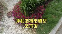 呼和浩特市雕塑艺术馆：感受艺术的魅力
