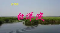 河北5A景区之——白洋淀