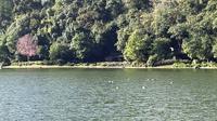 云南腾冲和顺古镇野鸭湖景区，碧水蓝天真正的水天一色