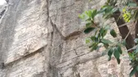 洛阳龙门石窟