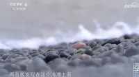 【地  貌】乌石塘的砾滩