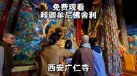 西安广仁寺，全国唯一主供绿度母且不用门票就能免费看到释迦牟尼佛舍利的寺院