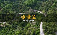 研学海南——海南·保亭·呀诺达，探寻雨林深处的秘密，感受大自然的美好