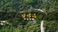 研学海南——海南·保亭·呀诺达，探寻雨林深处的秘密，感受大自然的美好