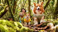 带3只小狗去腾冲玩！高黎贡山老年犬友好｜森林徒步｜车中泊