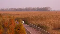 崇明岛西沙明珠湖景区