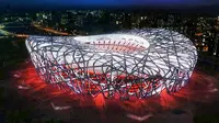 中国最大的体育场，由42000吨钢结构编织成的鸟巢，可容纳91000人