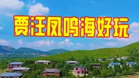 徐州哪里好玩？还是贾汪凤鸣海景区最好玩