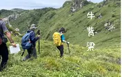 5分钟带你沉浸式登顶陕西秦岭牛背梁