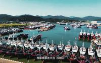 奉化博物馆历史文明展——山海交响