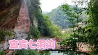 实拍宜宾七洞沟，有距今2000年历史的东汉崖墓群，植物活化石桫椤