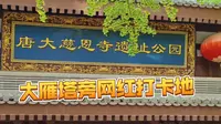唐大慈恩寺遗址公园，免费好玩