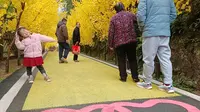 浏阳石牛寨玻璃栈道