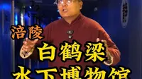 带你走进世界首座非潜水可到达的水下遗址博物馆——白鹤梁水下博物馆。#浙江人免费游涪陵# #浙里有涪# #重庆涪陵# #白鹤梁水下博物馆#