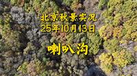 北京秋景实况｜10月13日喇叭沟原始森林公园