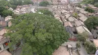 东莞茶山南社明清古村落