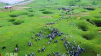 百草坪，位于威宁舞族苗族回族自治县，海拔达2800多，周边是世代居住舞族，属于多雾地带，百草坪是节假日威宁周边旅游必去点