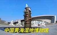探访盐城中国黄海湿地博物馆，庞大的抹香鲸骨骼标本成为核心展品