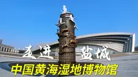 探访盐城中国黄海湿地博物馆，庞大的抹香鲸骨骼标本成为核心展品