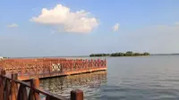 单县浮龙湖美景
