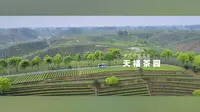 《夹江天福观光茶园》宣传片