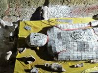 一祠二主——望丛祠