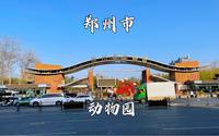 河南省郑州市，郑州动物园，动物种类很多，是个带娃的好去处