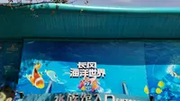 上海长风海洋世界vlog
