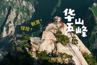 全程徒步奇险华山! 长空栈道+鹞子翻身我全都要！