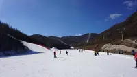 赤峰美林谷滑雪